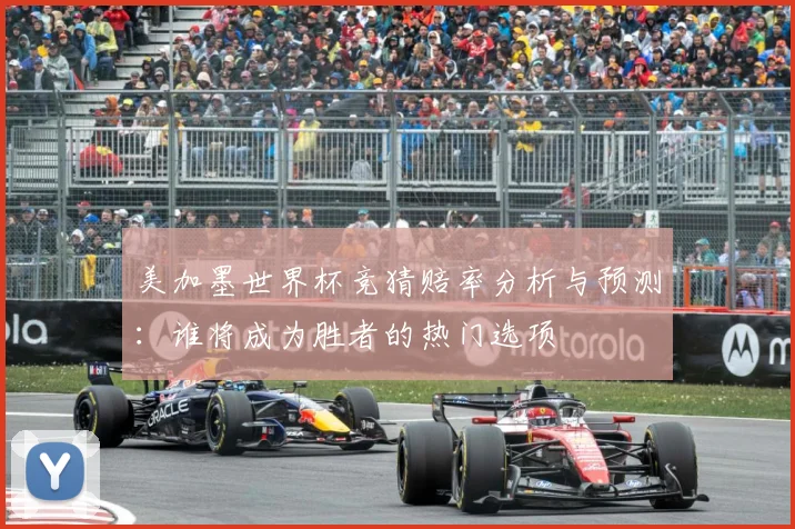 美加墨世界杯竞猜赔率分析与预测：谁将成为胜者的热门选项