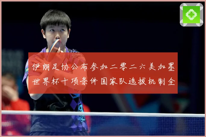 伊朗足协公布参加二零二六美加墨世界杯十项条件国家队选拔机制全战术观察