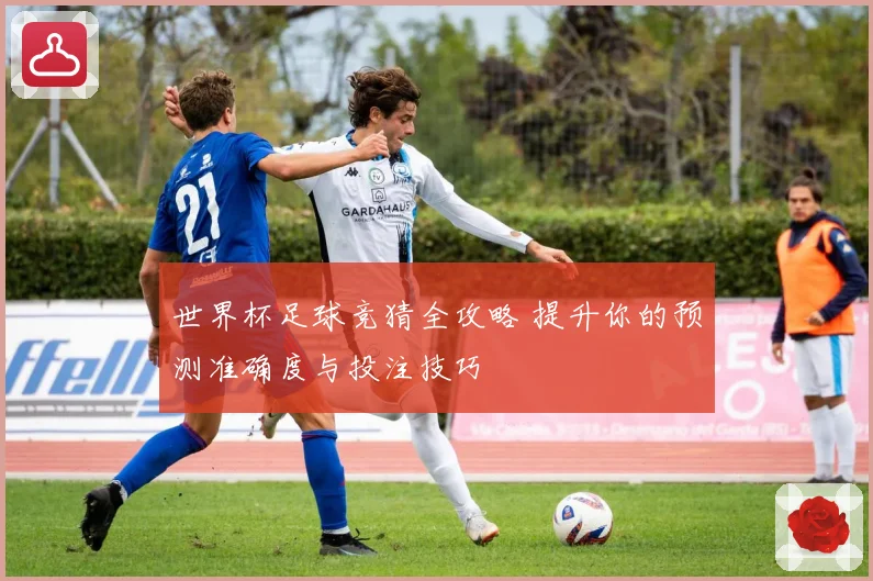 世界杯足球竞猜全攻略 提升你的预测准确度与投注技巧