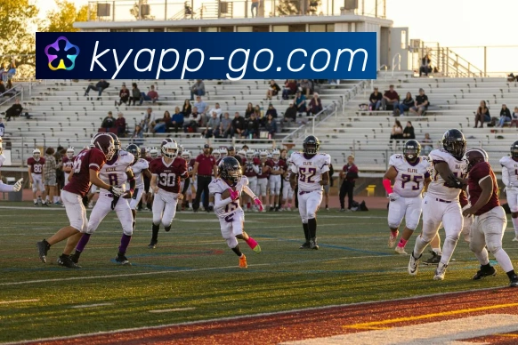 开云平台展示图